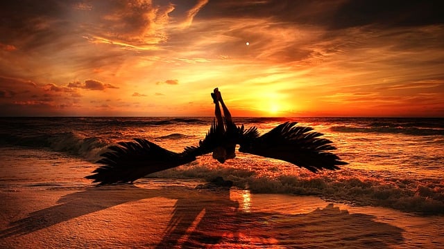 Psychische Reflexionen: Eine Reise in Ihr Inneres